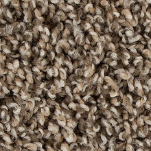 Load image into Gallery viewer, Mohawk - Medalist