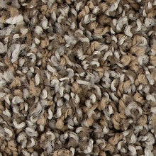 Load image into Gallery viewer, Mohawk - Medalist