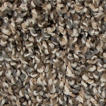 Load image into Gallery viewer, Mohawk - Medalist