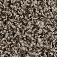 Load image into Gallery viewer, Mohawk - Medalist