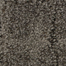 Load image into Gallery viewer, Mohawk - Elaborate Appeal