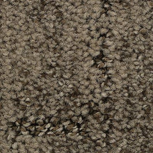 Load image into Gallery viewer, Mohawk - Elaborate Appeal