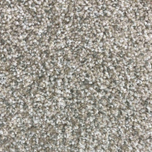 Load image into Gallery viewer, Dream Big Carpet Collection