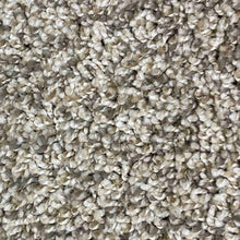 Load image into Gallery viewer, Breezy Collection Carpet