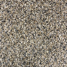 Load image into Gallery viewer, Dream Big Carpet Collection