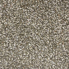 Load image into Gallery viewer, Celebrity Carpet Collection