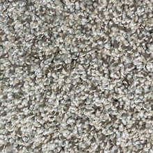 Load image into Gallery viewer, Breezy Collection Carpet