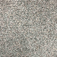 Load image into Gallery viewer, Celebrity Carpet Collection