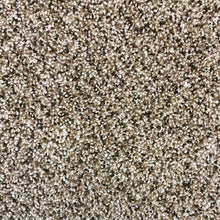 Load image into Gallery viewer, Dream Big Carpet Collection