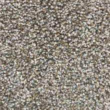 Load image into Gallery viewer, Celebrity Carpet Collection