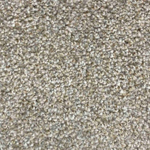 Load image into Gallery viewer, Celebrity Carpet Collection