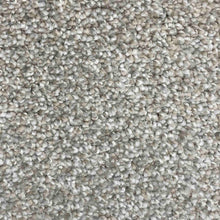 Load image into Gallery viewer, Celebrity Carpet Collection