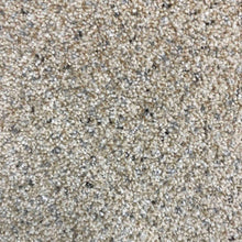 Load image into Gallery viewer, Dream Big Carpet Collection