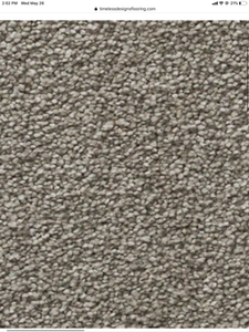 Luxury Design Collection Carpet